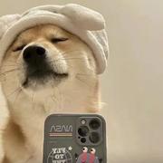 浆太公的个人资料头像