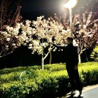 特别上进的小李头像