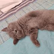 至憑的个人资料头像