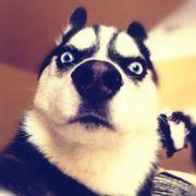 www_LeoL1ao超_com的个人资料头像