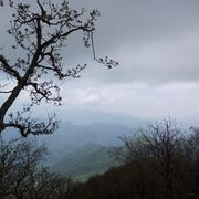 火山僵尸爱潜水的个人资料头像