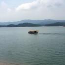 李忠不想说话的个人资料头像