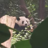 菠菜不吃菜360头像