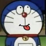 冲天肥猫头像