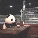 你是黄头发么头像