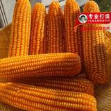 沧海140088986头像