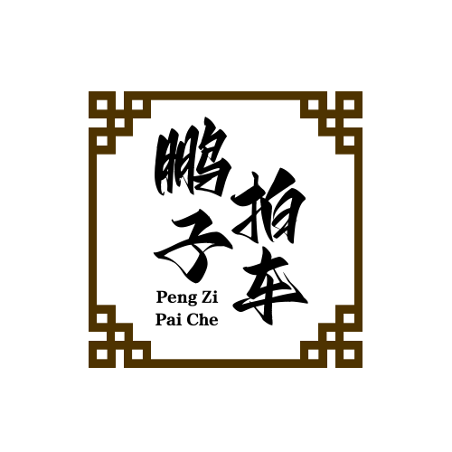 鹏子拍车v头像
