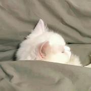 Kay259的个人资料头像