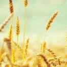 darkmage的个人资料头像