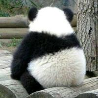 真诚麻酱0U3头像