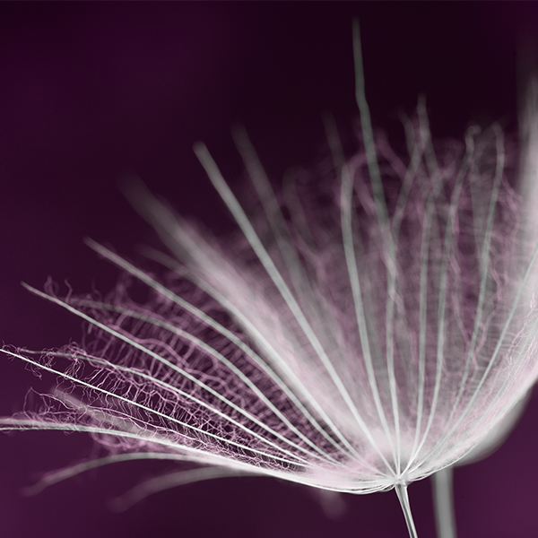 轻松晋州4J头像