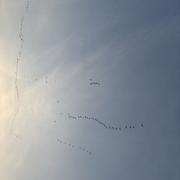 稀土掘金0的个人资料头像