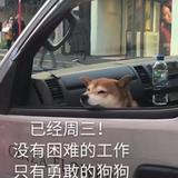 卖网约车的小阳头像