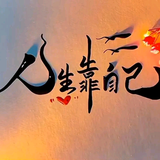 小叶1198头像