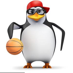 企鹅篮球头像