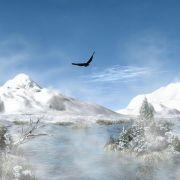 Mr_vccc的个人资料头像