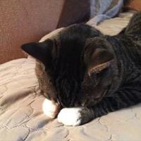 不要不开心79头像