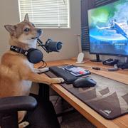 kissingmaster的个人资料头像