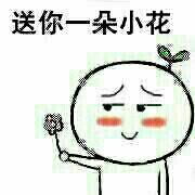 小林不是coder的个人资料头像