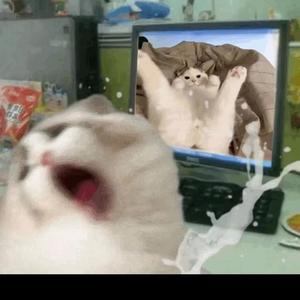 高光时刻头像