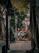 PsychicLee的个人资料头像