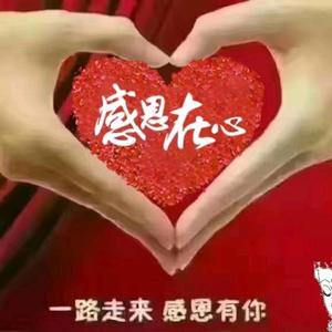 静思洁头像
