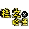 桂之略懂头像