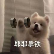 立志不做废物的个人资料头像