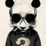 王迪231351840头像