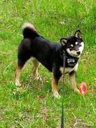 yudaza的个人资料头像