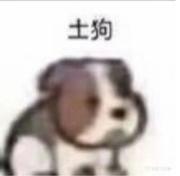 不会编程12的个人资料头像