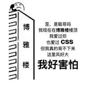 我不理解495的个人资料头像