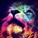 zcp61350的个人资料头像