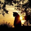 Oscar就是我76886的个人资料头像