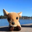 紫苏同学的个人资料头像