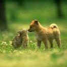 马玲俊的个人资料头像