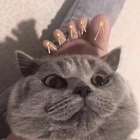 拾柒丶随拍记录头像