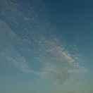 林间过客的个人资料头像