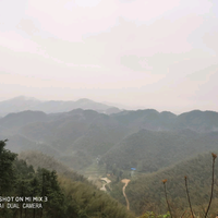 小蒋同学的抖音头像