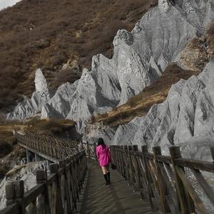 传承家的味道头像