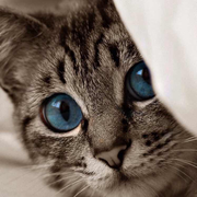 明天以后的个人资料头像