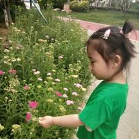 用户2516144829691头像