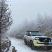 此生必驾318一头像