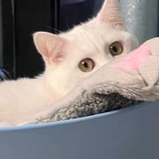 绘你一世出尘的个人资料头像