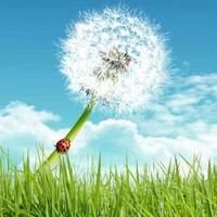 天天看啦啦啦头像