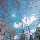 lvtiantian的个人资料头像