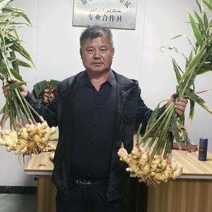 阿不都热木·拜克力头像