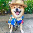 能否能的个人资料头像