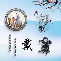 32号星期仈头像