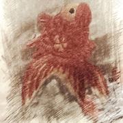 清酒暖风600的个人资料头像